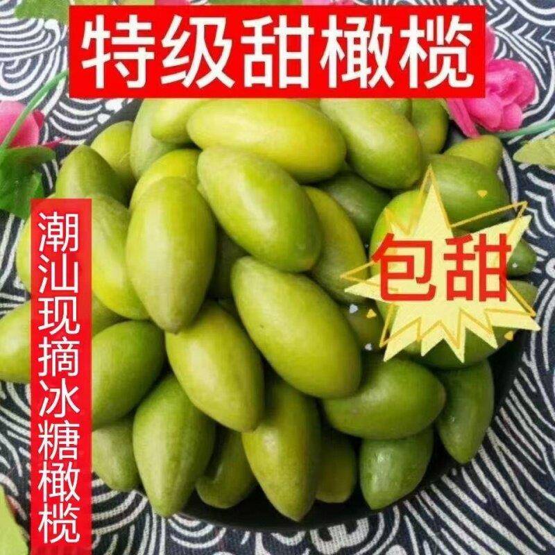金灶特级甜种潮汕现摘冰糖橄榄果鲜生吃酥脆特甘甜无渣青翠生橄榄