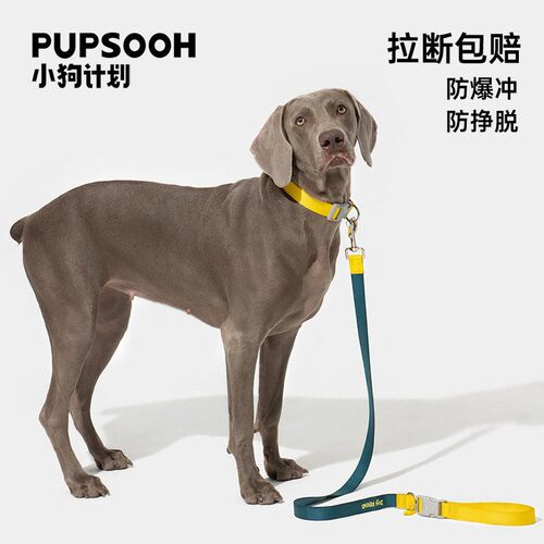 小狗计划狗狗牵引绳遛狗外出狗绳子狗脖圈可调节狗狗项圈宠物用品