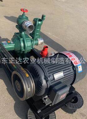 柴油动力双叶轮压喷灌水泵 电机直连式水泵一体机 喷枪喷淋压