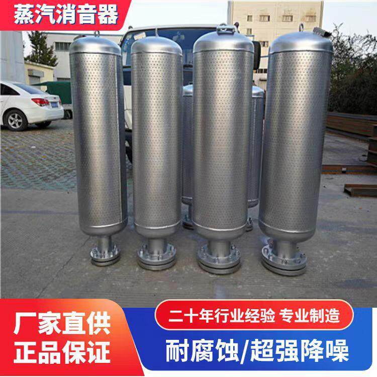 管道消音器小孔消音器管道排气静音消音器汽轮风机锅炉管道消音器