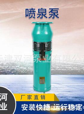 QSP喷泉泵 316景观喷泉泵 耐腐蚀喷泉专用泵 不锈钢304喷泉泵