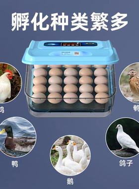 用家直销仿生水床芦丁PYH鸡家全自动控器温塑料泡沫水床孵厂化孵