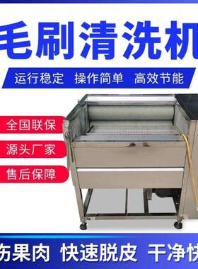 小型莲藕脱皮机45型萝卜清洗机家用土豆清洗去皮机果蔬清洗去皮机