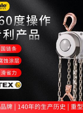 德国耶鲁ATEX360气体隔爆手拉葫芦不锈钢链条铜吊钩 防爆手拉葫芦