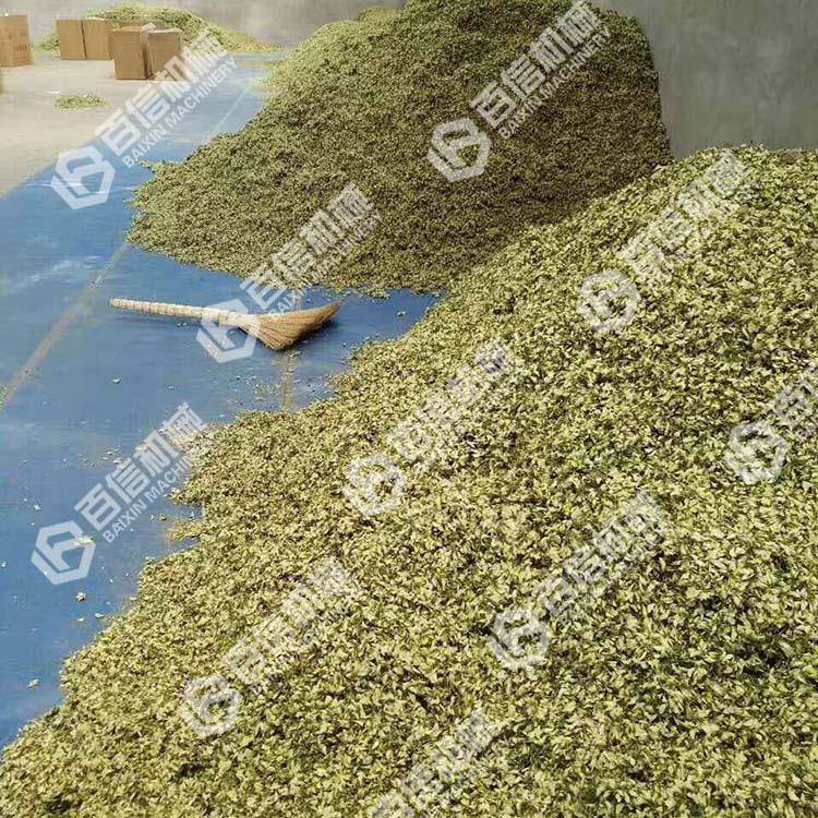 网带式槐花烘干机花药材连续式干燥机花叶药槐材烘干机