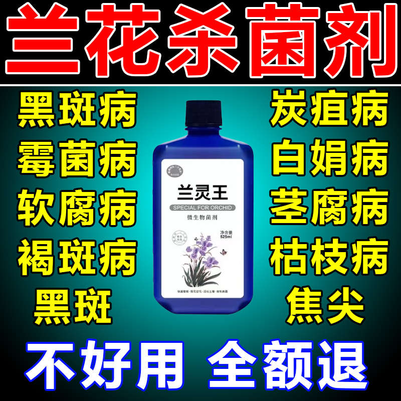 兰花专用杀菌药 焦尖黑斑病专用药治黄叶黑斑烂根爆根剂黑班专用