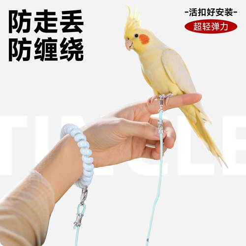 放飞绳鹦鹉牵引绳虎皮小鸟专用超轻不伤脚外出绳玄凤牡丹遛鸟神器