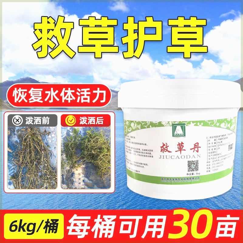 高温伊乐藻强生根壮根水草疯长防烂根黄叶催芽救草丹水草大救星