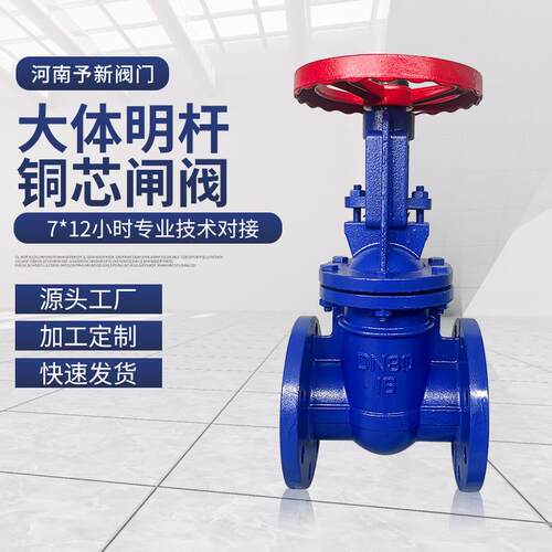 16公斤大体明杆铜芯闸阀Z41T-16防护闸阀法兰明杆闸阀人防闸阀