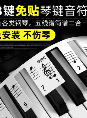 钢琴键盘贴88键免粘贴纸电钢琴简谱贴61键贴初学入门五线谱音符条