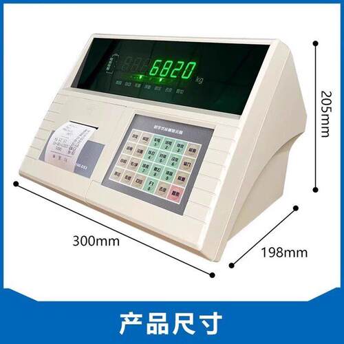 上海耀华X3190显-DS3/数字仪表/磅BLD称重示控制地器/汽车衡器仪K