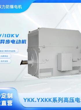 厂家直销YYX系列高压三相异步电动机电机厂家6V10V煤矿水