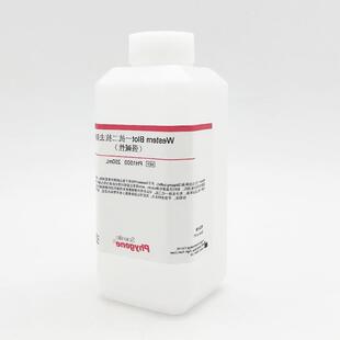 Western一抗二抗去除液 250mL科研实验PH1500PHYGENE 强碱性