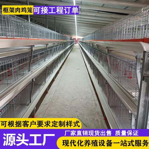 框架式肉鸡笼大型鸡场自动化养殖设备全自动鸡舍养殖捡蛋清粪设备