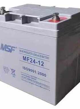 MSF蓄电池MF-12V17A24A38A40A65A100A机房直流屏备用UPS/EPS电源