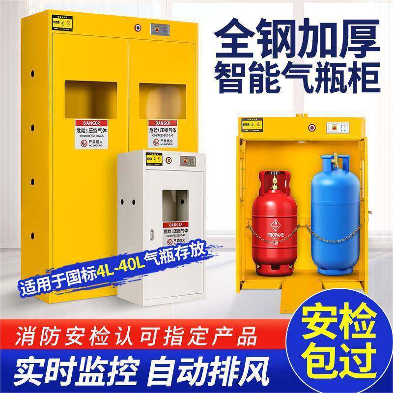全钢气瓶柜安全柜防爆乙炔氢气氧气煤气罐实验室储存双瓶钢瓶柜子