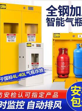 全钢气瓶柜安全柜防爆乙炔氢气氧气煤气罐实验室储存双瓶钢瓶柜子