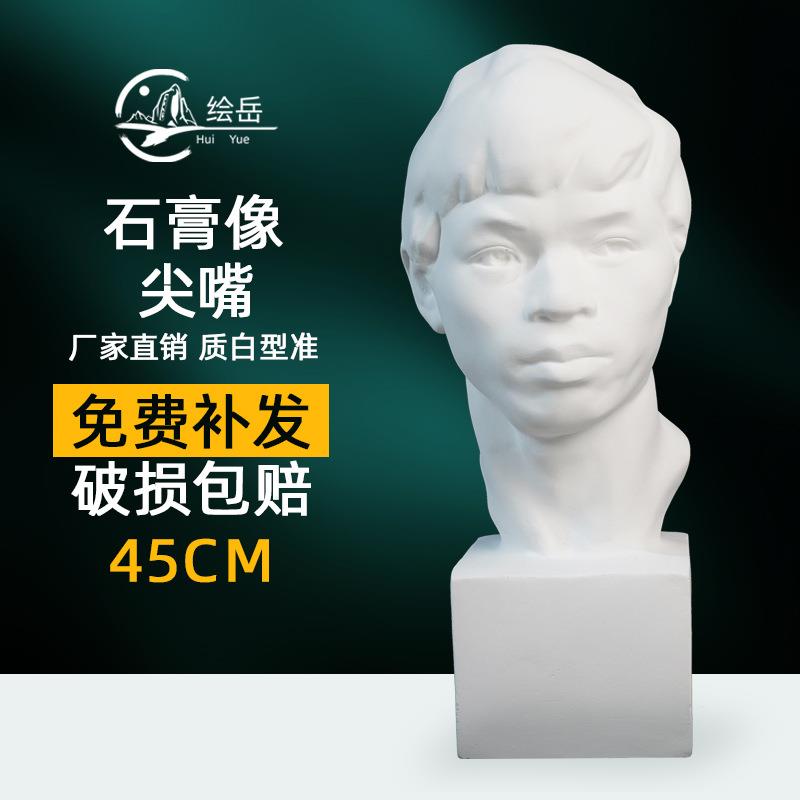 绘岳尖嘴美术石膏人物头像素描石膏像中国青年少年美术室配套