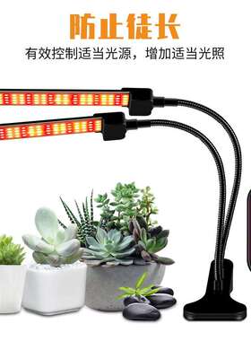 谦润照明led夹子生长灯室内太阳光谱盆栽蔬果投光灯防水12v促生长