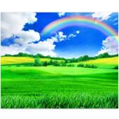 FJ1178蓝天白云彩虹草地壁画墙布空间延伸护眼电视墙沙发墙卧室墙