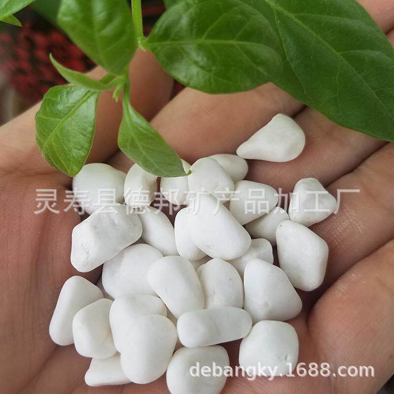 厂家供应 彩色鹅卵石 园艺景观石 白色水磨石石子 植物铺面白石子