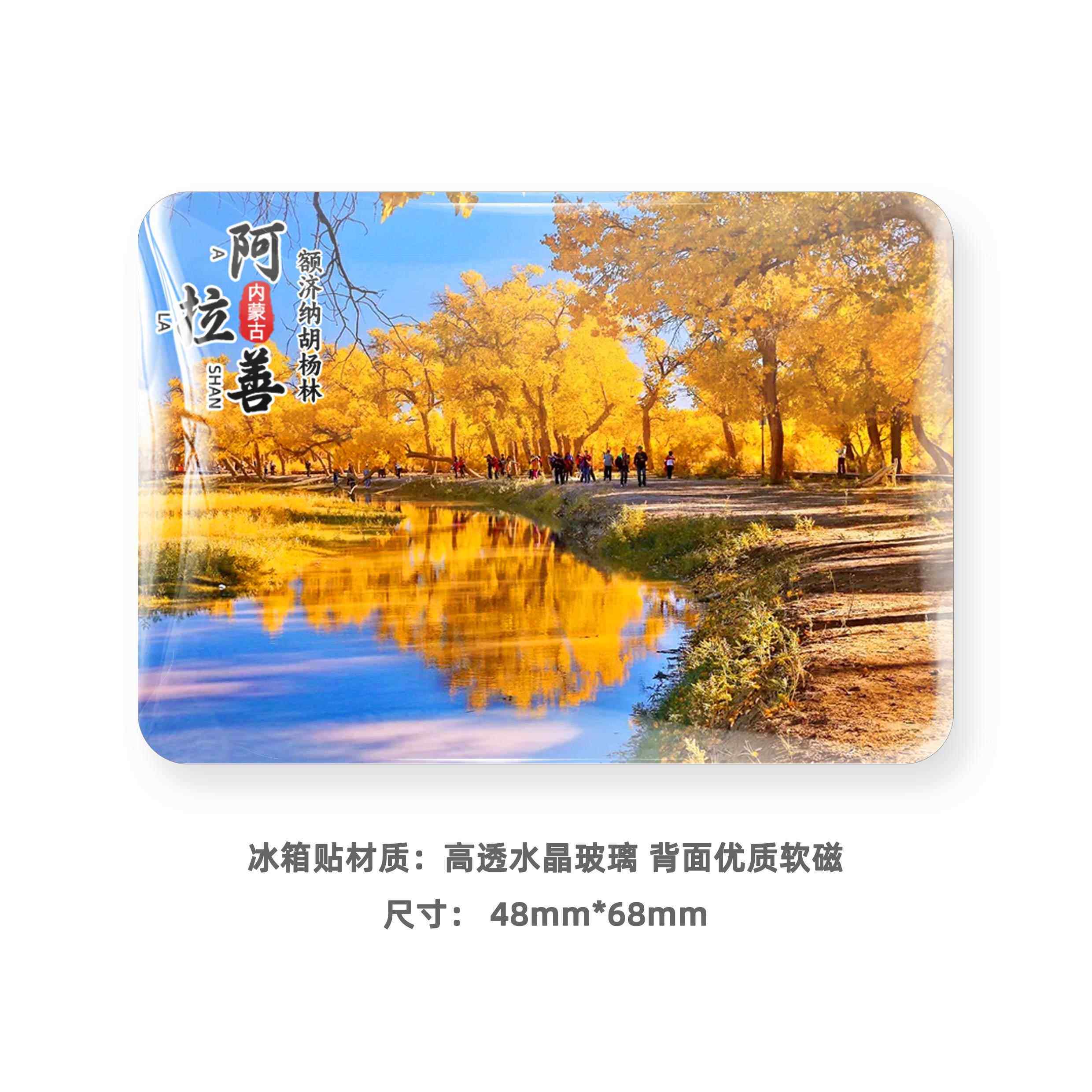 阿拉善旅游风景纪念品冰箱贴居延海额济纳胡杨林腾格里沙漠怪树林
