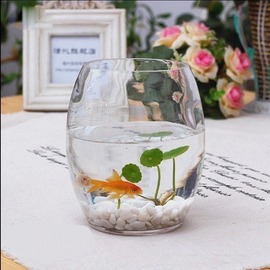 创意绿萝水培花盆玻璃花瓶透明大号水养植物器皿，富贵竹插花瓶简约