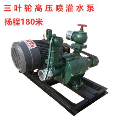 高扬程喷灌泵三叶轮扬程180米3寸抽水泵喷洒草坪高压泵