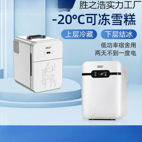 SAST车载迷你小冰箱学生宿舍出租房小型母乳单人用冷藏箱家车两用