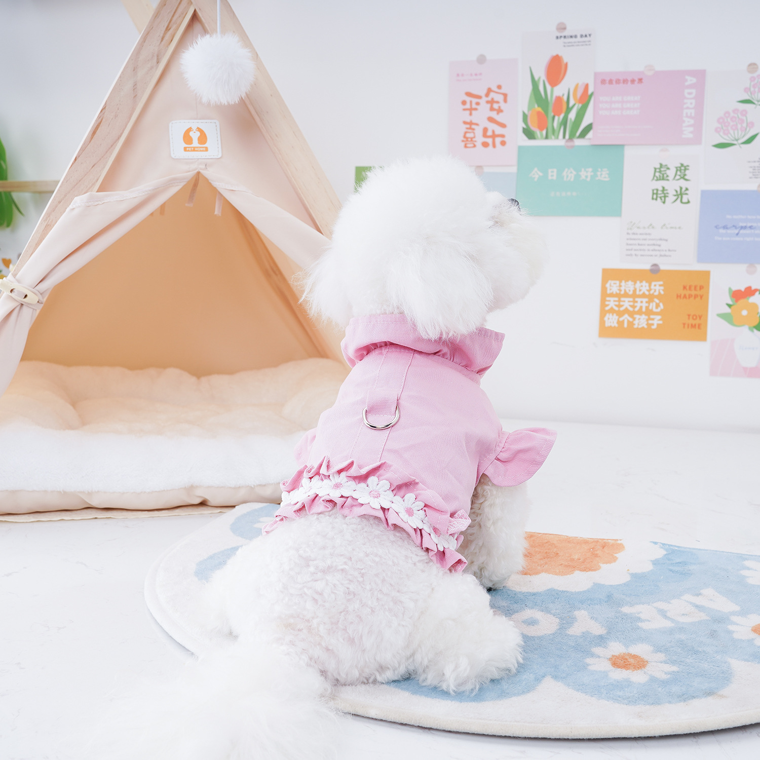 小狗狗宠物服装猫咪衣服胸背雨衣