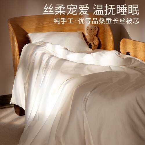 100%桑蚕丝幼儿园春秋被子四季通用宝宝被芯丝棉被儿童蚕丝被