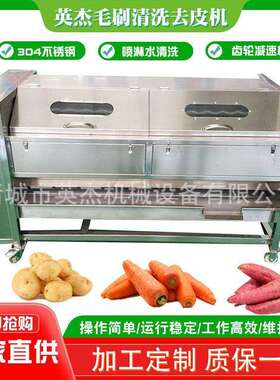 平行毛辊清洗机设备海产品不锈钢清洗机小型果蔬全自动清洗去皮机