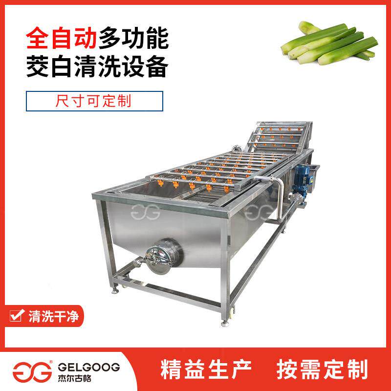 不锈钢清洗笋类蔬菜设备 自动洗雪菜梅干菜茭白清洗机 叶菜清洗机