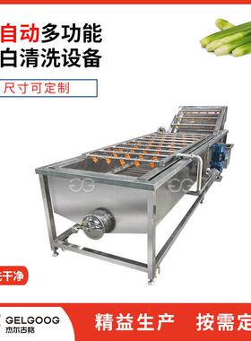 不锈钢清洗笋类蔬菜设备自动洗雪菜梅干菜茭白清洗机叶菜清洗机