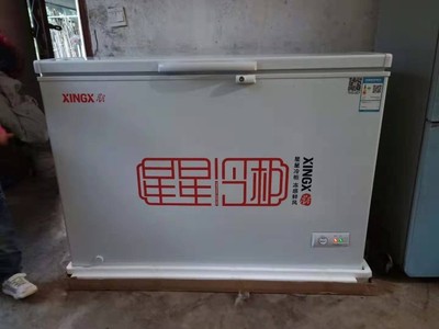 星星冰柜大家可能不知的优缺点？真实评测揭秘