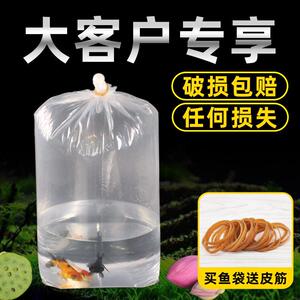 大客户专享四角方底氧气袋加厚水族观赏鱼打包袋子快递运输塑料