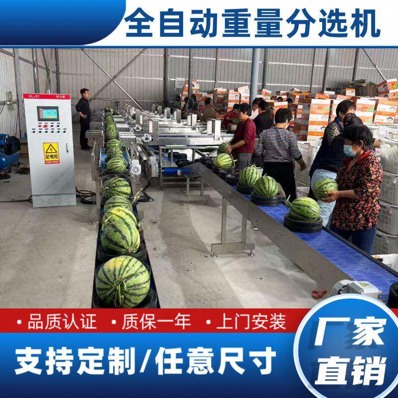 水果苹果秋月梨菠萝分选机无损西瓜水蜜桃粑粑柑等级分选