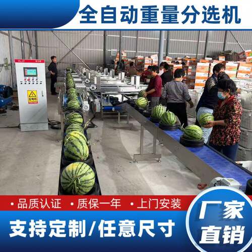 水果苹果秋月梨菠萝分选机无损西瓜水蜜桃粑粑柑等级分选中衡