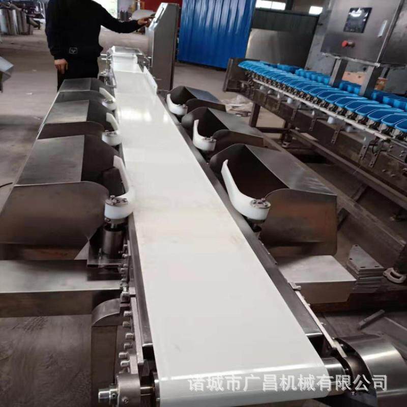 重量分拣机 皮带式白条鸡分级机 鹌鹑自动分拣机