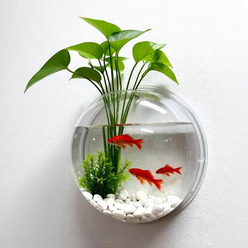 透明圆形壁挂式鱼缸水培植物金鱼缸家居装饰壁饰水培植物花盆组合