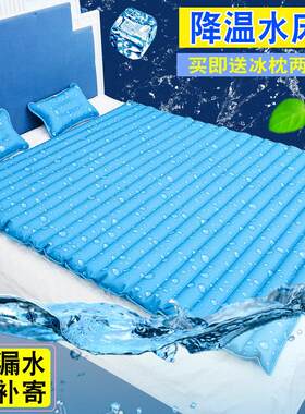 水床冰垫床垫水凉垫枕头冰凉宿舍降温夏天水席袋床上单人水凉垫双