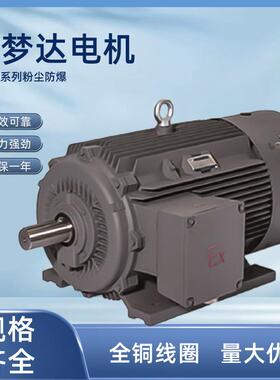 茵梦达电机1MT0系列粉尘防爆三相异步电动机45kw55kw厂家直供