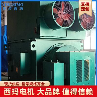 西玛电机生产厂家250KW高压电动机 YRKK450-4A 10KV IP54轴瓦轴承