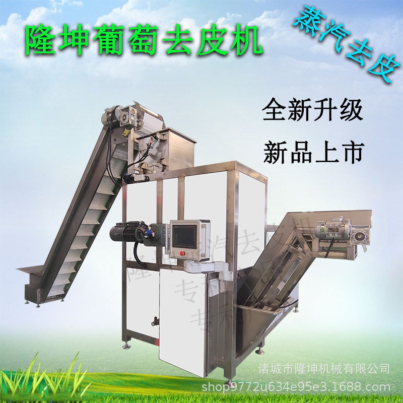 隆坤全自动葡萄去皮机 大型蒸汽去皮设备 多功能不锈钢桃子脱皮机