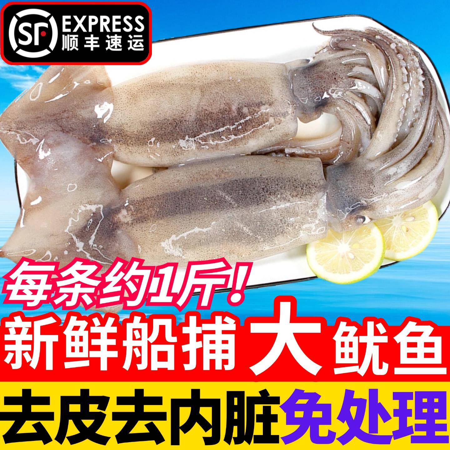 鱿鱼鲜活冷冻新鲜超大鱿鱼尤鱼整只海捕船冻烧烤铁板商用海鲜水产