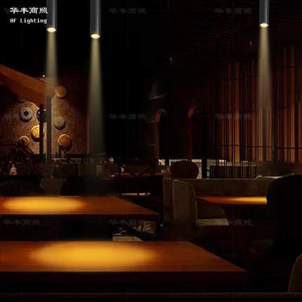 聚光灯酒吧射灯清吧气氛灯餐桌音乐饭厅吸顶商铺明装LED轨道射灯