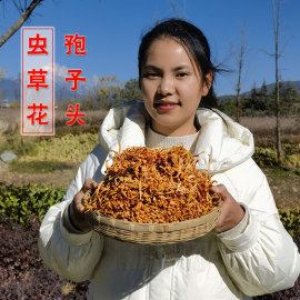 虫草花干货500g云南孢子头，虫草花仿野生特级蛹虫草煲汤食材从草花