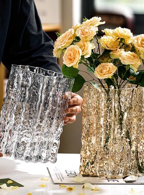 花瓶摆件客厅插花玻璃透明冰川轻奢高级感水养ins大口径网红鲜花