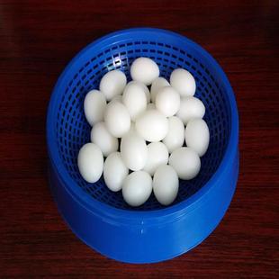 鸽子用品用具鸽子窝塑料窝巢盆鸽子蛋窝信鸽防翻巢窝赛鸽蛋盆草窝