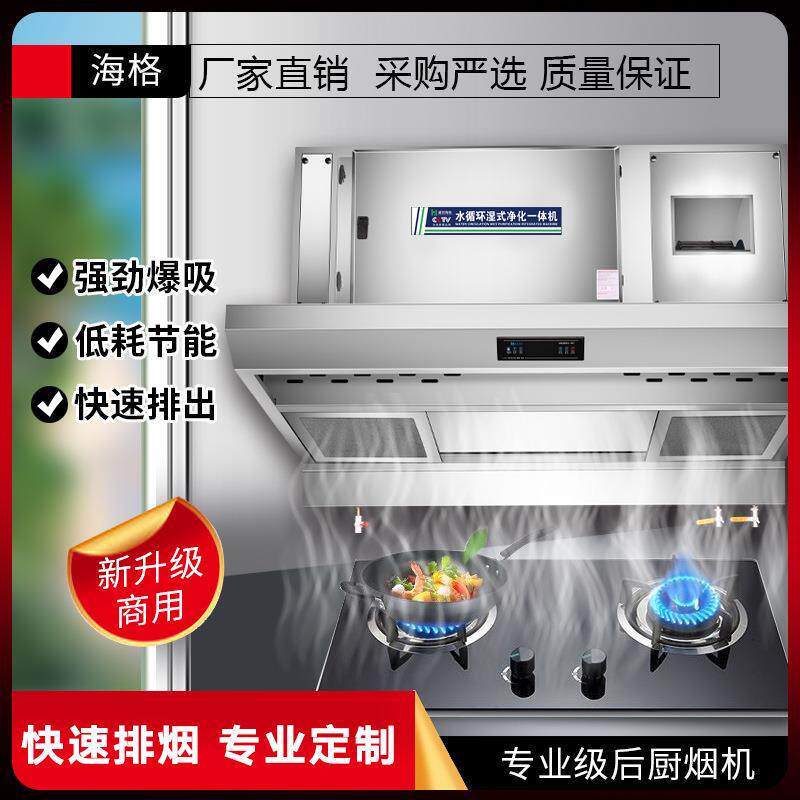 水循环油烟净化一体机商用低空净化器大吸力烟罩饭店排烟静电式